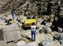 tcas03.jpg (64374 bytes)