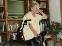 CIMG0050.JPG (104613 bytes)