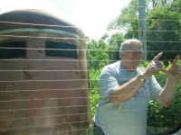 CIMG0152.JPG (126895 bytes)