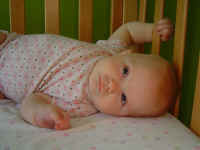 DSC03873.JPG (354829 bytes)