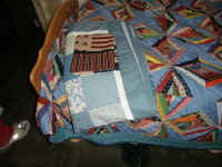 Vet Quilts038.jpg (205119 bytes)
