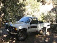 Cherry07 (15).JPG (179745 bytes)