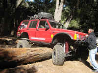 Cherry07 (24).JPG (188856 bytes)