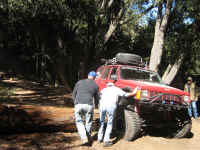 Cherry07 (25).JPG (194257 bytes)