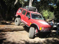 Cherry07 (26).JPG (193673 bytes)