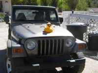 Cherry07 (27).JPG (130801 bytes)