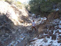 th (138).jpg (123860 bytes)