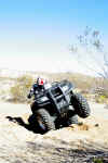 desertpm (30).JPG (80033 bytes)