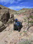 calico0209pm (20).jpg (113665 bytes)