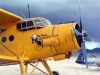 camp (29).JPG (370177 bytes)