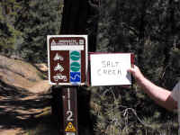 Trailmtc (16).jpg (511397 bytes)