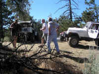 Trailmtc (32).JPG (632397 bytes)