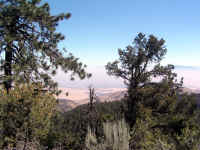 Trailmtc (33).JPG (705353 bytes)