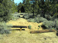 Trailmtc (6).jpg (783002 bytes)