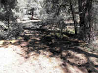 Trailmtc (8).jpg (674639 bytes)