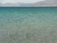 Mead (12).JPG (138494 bytes)