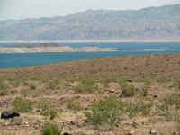 Mead (5).JPG (161868 bytes)