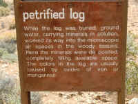 VOF 2010 (11).JPG (157988 bytes)