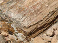 VOF 2010 (12).JPG (180474 bytes)