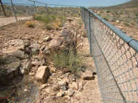 VOF 2010 (14).JPG (242293 bytes)