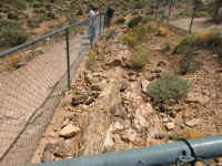 VOF 2010 (17).JPG (244015 bytes)