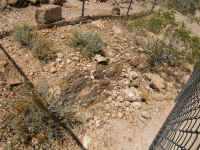 VOF 2010 (18).JPG (273675 bytes)