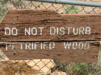 VOF 2010 (20).JPG (221136 bytes)