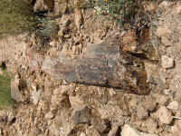 VOF 2010 (21).JPG (252228 bytes)