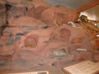 VOF 2010 (28).JPG (78760 bytes)