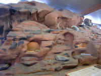 VOF 2010 (29).JPG (101676 bytes)