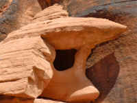 VOF 2010 (41).JPG (130461 bytes)