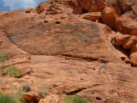 VOF 2010 (44).JPG (196415 bytes)