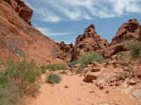 VOF 2010 (45).JPG (164197 bytes)