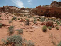 VOF 2010 (61).JPG (165303 bytes)