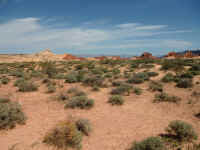 VOF 2010 (64).JPG (143781 bytes)