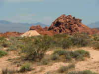 VOF 2010 (65).JPG (155674 bytes)