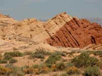 VOF 2010 (66).JPG (157213 bytes)