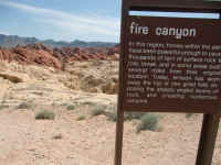 VOF 2010 (72).JPG (166658 bytes)