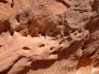 VOF 2010 (85).JPG (178800 bytes)