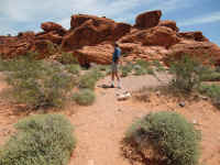 VOF 2010 (8).JPG (206398 bytes)