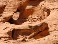 VOF 2010 (94).JPG (158539 bytes)