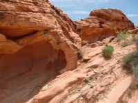 VOF 2010 (9).JPG (146379 bytes)