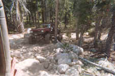 003_3.JPG (148861 bytes)