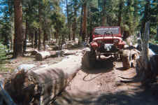 005_5.JPG (162212 bytes)