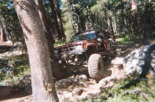 006_6.JPG (176430 bytes)