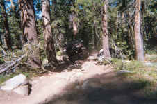 007_7.JPG (186453 bytes)