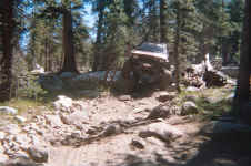 008_8.JPG (158744 bytes)