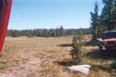 009_9.JPG (115590 bytes)