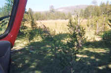 010_10.JPG (147631 bytes)