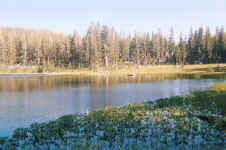 011_11.JPG (145619 bytes)